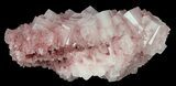 Pink Halite Crystal Plate - Trona, California #61065-3